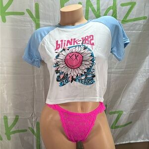 Blink 182 20 Years inspired Crop Top